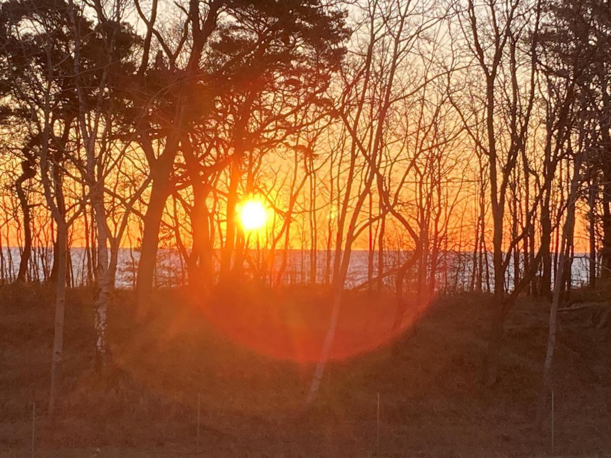 Luxus-Maisonette Fuer Die Grosse Familie Mit Direktem Strandzugang Binz Buitenkant foto
